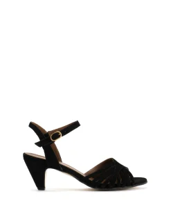 Hermine