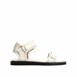 Shantell flats