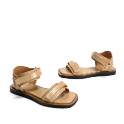 Shantell flats
